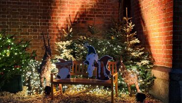 Weihnachtsfeier Stadtführung buchen @ Annette Rusch